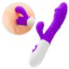 CR-simulation vibrator purple vibrator